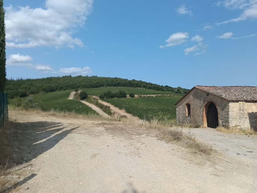 Siena: Small-group Cooking Class in a Chianti Farm - Finishing with tiramisu and a farmhouse lunch