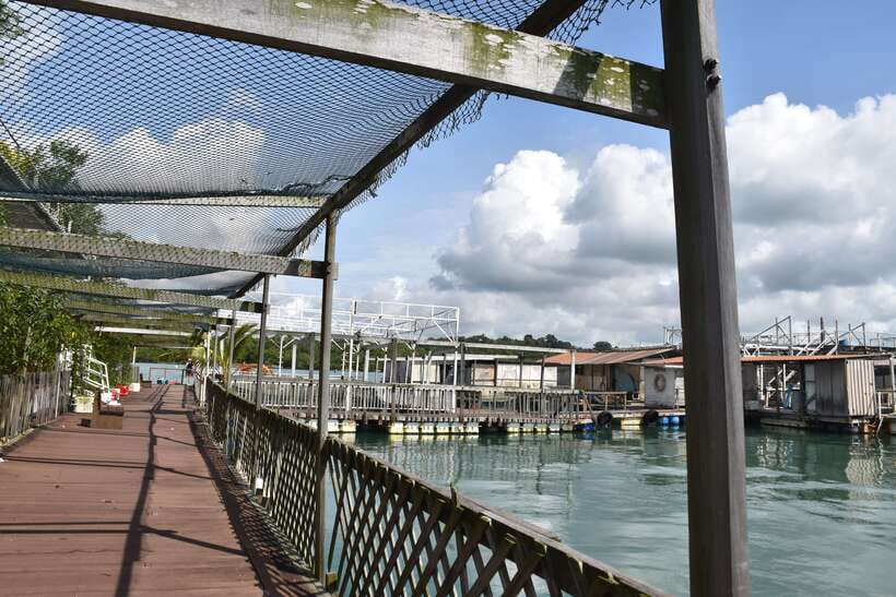 Singapore: Guided Boat Tour and Kelong Fish Farm Visit - Timing, comfort, and the meeting point