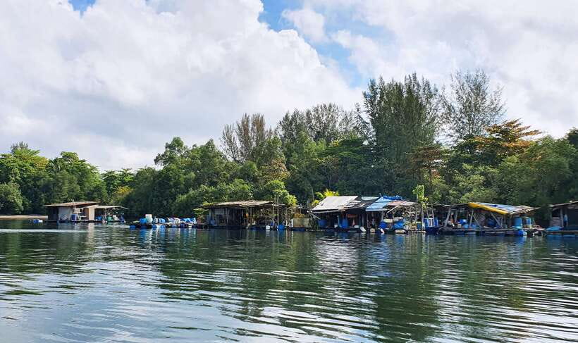 Singapore: Guided Boat Tour and Kelong Fish Farm Visit - Who will enjoy this Singapore boat tour