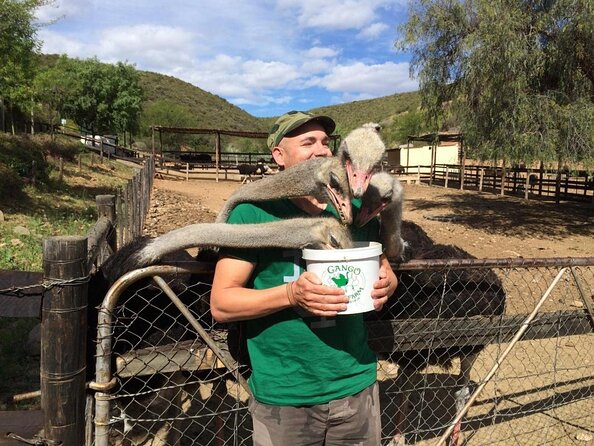 Skip the Line: Highgate Ostrich Farm Tour Ticket - Key points at a glance