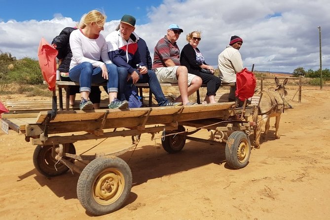 Skip the Line: Highgate Ostrich Farm Tour Ticket - Ending with the ostrich derby