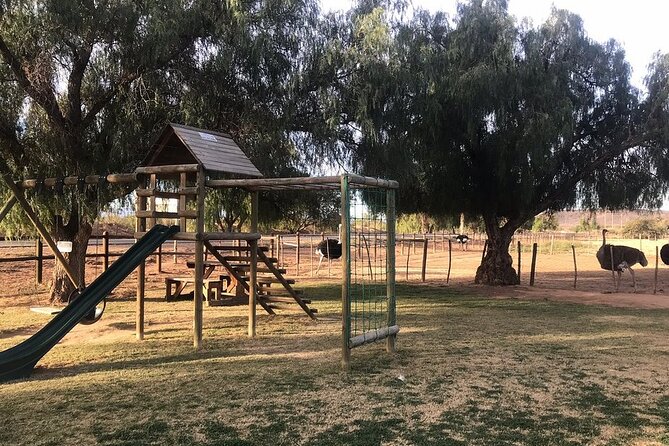 Skip the Line: Highgate Ostrich Farm Tour Ticket - Is $11.28 good value?
