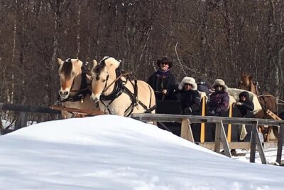 Sleigh Ride w/ snacks – Experience Arctic Farm Life