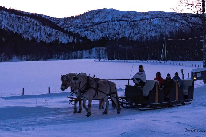 Sleigh Ride w/ snacks - Experience Arctic Farm Life - Who will enjoy this most