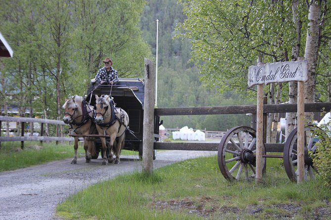 Sleigh Ride w/ snacks - Experience Arctic Farm Life - Weather, clothing, and practical limits