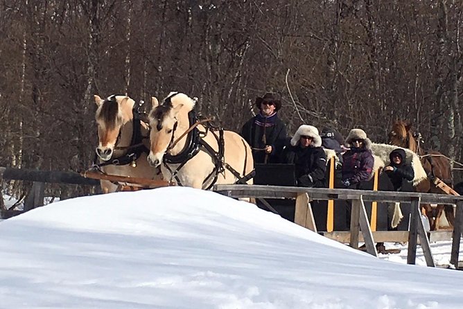 Sleigh Ride w/ snacks - Experience Arctic Farm Life - What the ride is really like