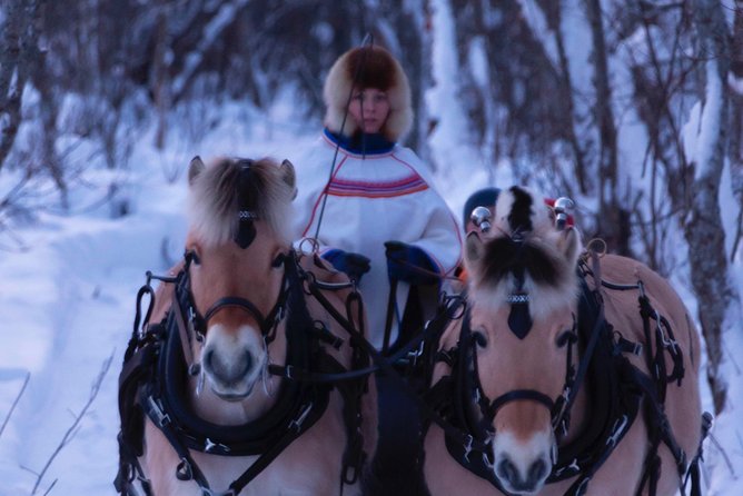 Sleigh Ride w/ Tapas Meal - Experience Arctic Farm Life - From Alta to Omdal Gard in the Arctic countryside