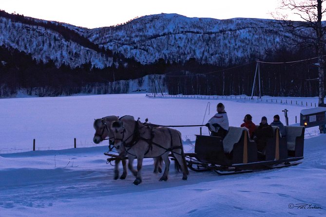Sleigh Ride w/ Tapas Meal - Experience Arctic Farm Life - Arctic tapas in a fire-warmed lavvo