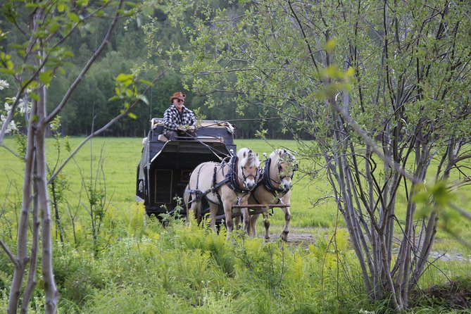 Sleigh Ride w/ Tapas Meal - Experience Arctic Farm Life - Why the small group changes the experience