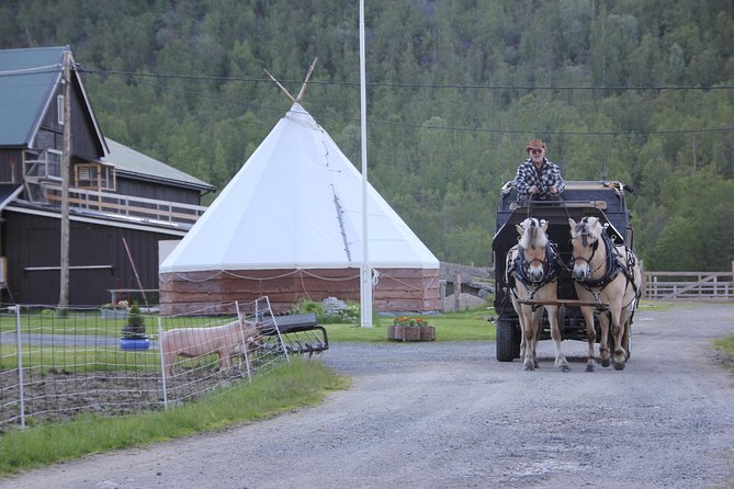 Sleigh Ride w/ Tapas Meal - Experience Arctic Farm Life - What the $236.79 price includes