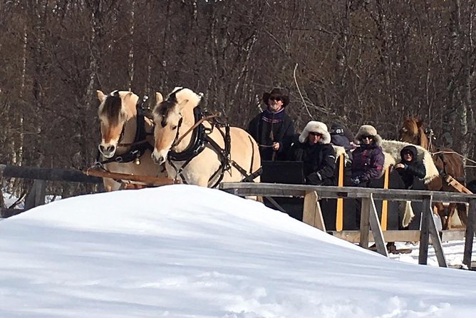 Sleigh Ride w/ Tapas Meal - Experience Arctic Farm Life - When to book and how to prepare