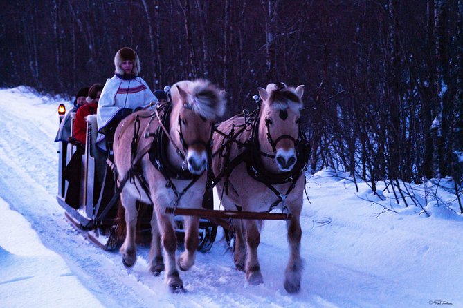 Sleigh Ride w/ Tapas Meal - Experience Arctic Farm Life - Who will enjoy this Alta farm experience