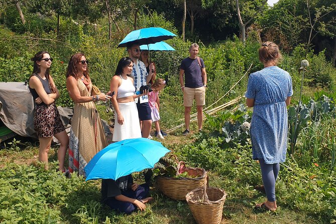 Slowlife Family Farm- Cook with us From Garden to Table Syracuse - Is $180.62 a fair price?