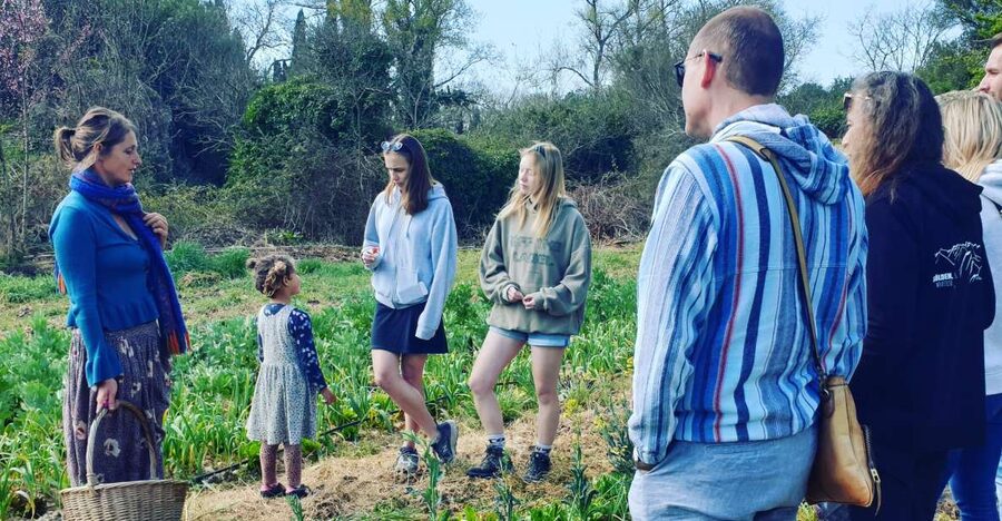 Slowlife Family Farm: From Garden to Table - Olive oil, wine, and the pantry