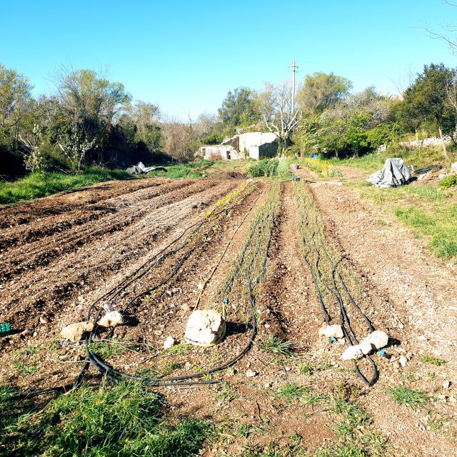 Slowlife Family Farm: From Garden to Table - What the four-hour schedule feels like