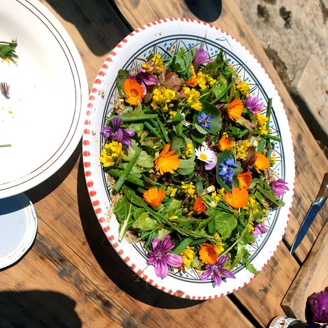 Slowlife Family Farm: From Garden to Table - Who will enjoy this farm experience