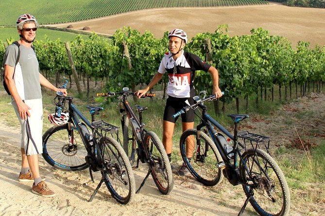 Small Group E-Bike Chianti Tour with farm lunch from Siena - Who will get the most from this tour