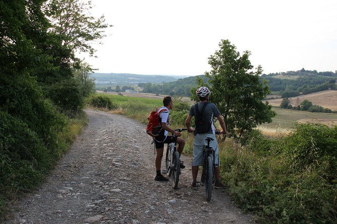 Small Group E-Bike Chianti Tour with farm lunch from Siena - Is the $216.25 price good value?
