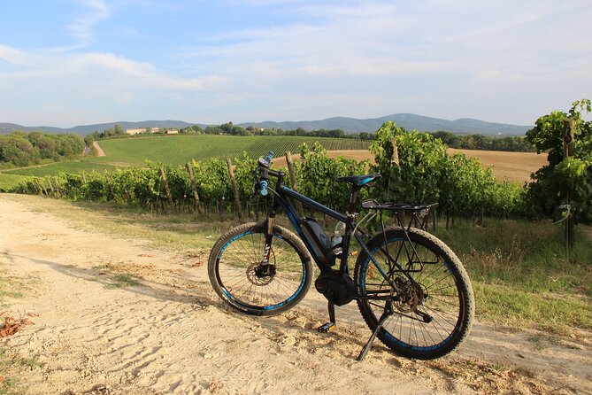 Small Group E-Bike Chianti Tour with farm lunch from Siena - Lunch at a local farm, with wine and olive oil