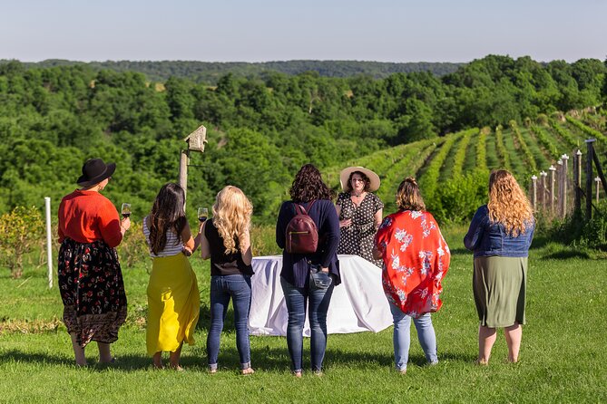Small-Group Vineyard and Orchard Tour with Wine Tasting in Muscoda - Timing, meeting point, and practical planning
