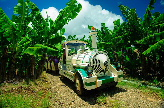 Small train tour of a banana farm in Martinique - Why the tour works well for families