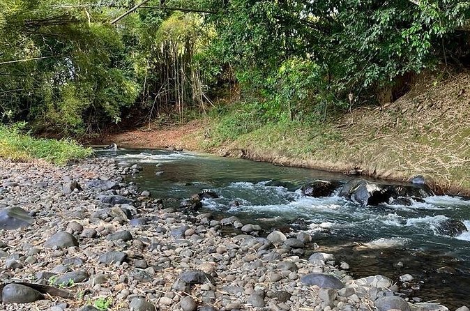 Small train tour of a banana farm in Martinique - Rain, roads, and the practical side
