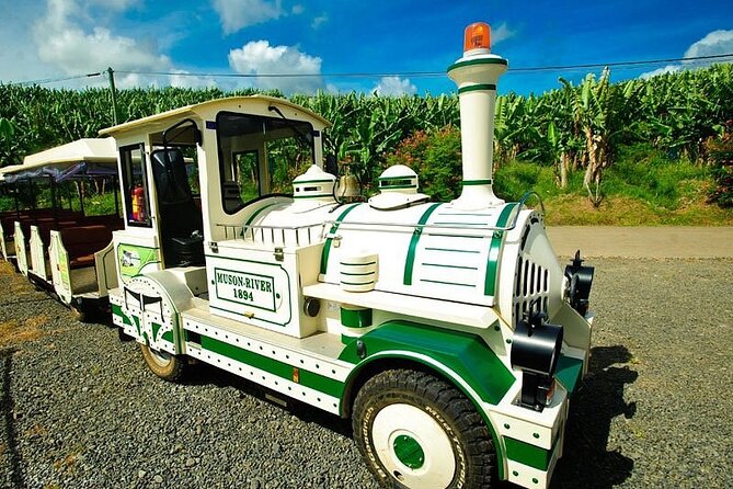 Small train tour of a banana farm in Martinique - The farm route, from banana rows to fruit trees