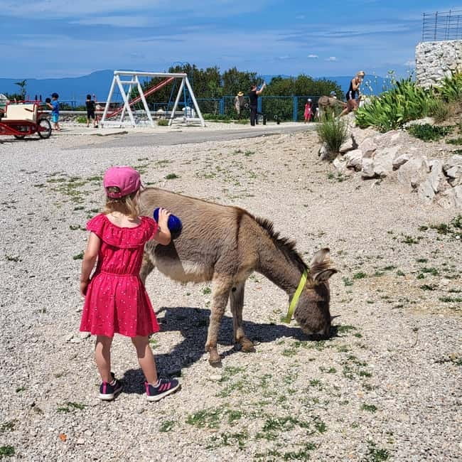 Šmrika (near Rijeka/Krk/Crikvenica) Donkey Farm Family Fun - Key points to know before you go