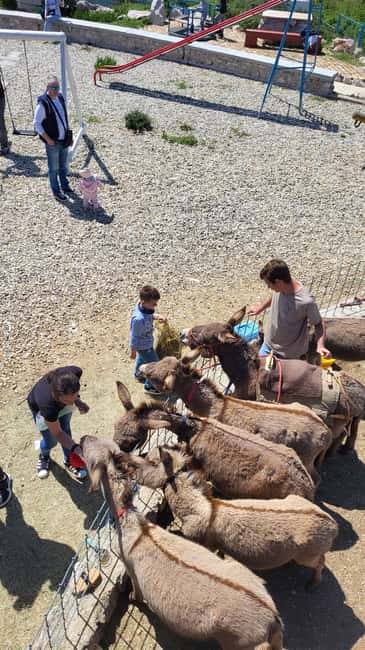 Šmrika (near Rijeka/Krk/Crikvenica) Donkey Farm Family Fun - The unusual cart ride around the yard