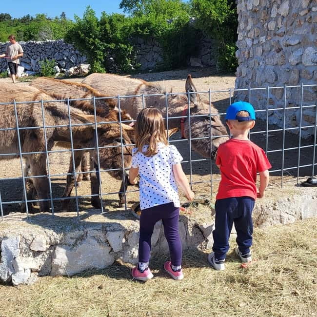 Šmrika (near Rijeka/Krk/Crikvenica) Donkey Farm Family Fun - A farm walk beyond the donkeys