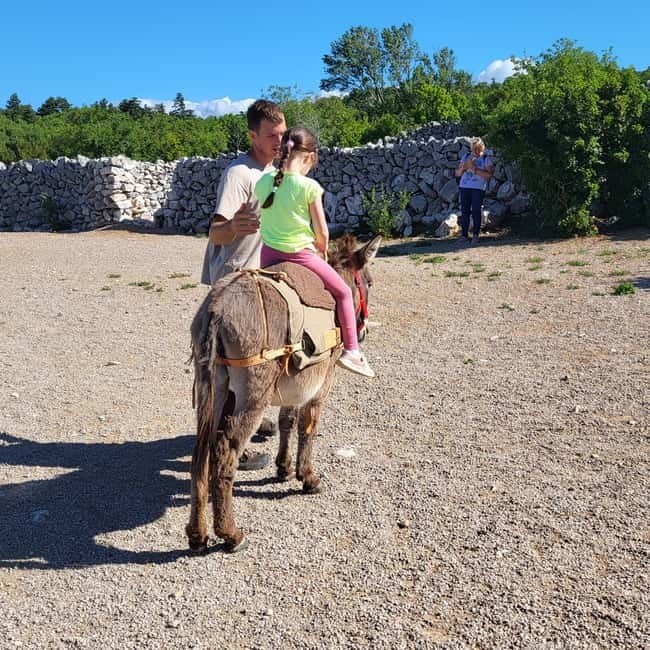 Šmrika (near Rijeka/Krk/Crikvenica) Donkey Farm Family Fun - Is $10 good value?