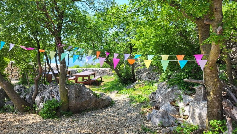 Šmrika (near Rijeka/Krk/Crikvenica) Donkey Farm Family Fun - Choosing the right day and guide