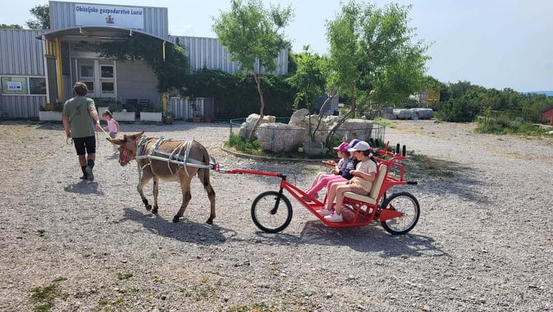 Šmrika (near Rijeka/Krk/Crikvenica) Donkey Farm Family Fun - What happens during the visit