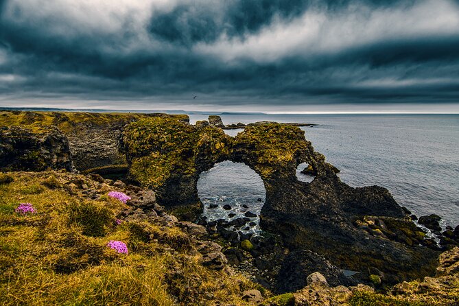 Snæfellsnes in Spanish with lunch on a farm Minibus - Buðir and the tar-black church