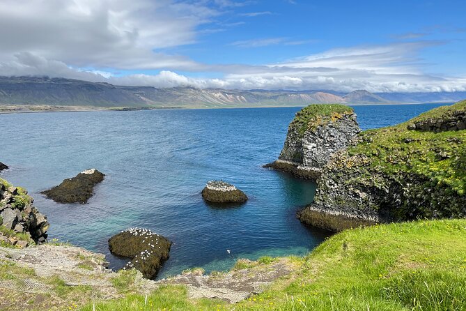 Snæfellsnes in Spanish with lunch on a farm Minibus - Djúpalónssandur and the strength stones