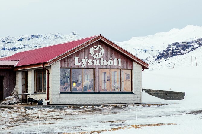Snæfellsnes in Spanish with lunch on a farm Minibus - Riding in a small minibus from Reykjavík