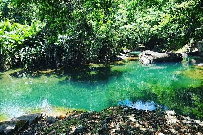 Soma Garden All Inclusive Tropical Fruit Farm Tour - Key points to know before you book