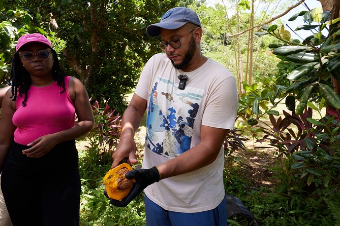 Soma Garden All Inclusive Tropical Fruit Farm Tour - Why Soma Garden feels different from a standard farm visit