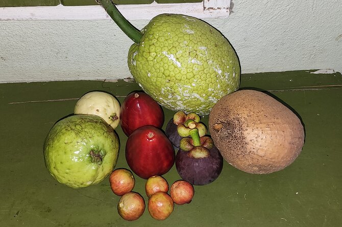 Soma Garden All Inclusive Tropical Fruit Farm Tour - Thirty minutes of fresh fruit and tropical drinks