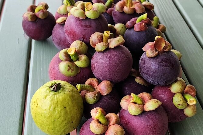 Soma Garden All Inclusive Tropical Fruit Farm Tour - Who will enjoy this afternoon most?