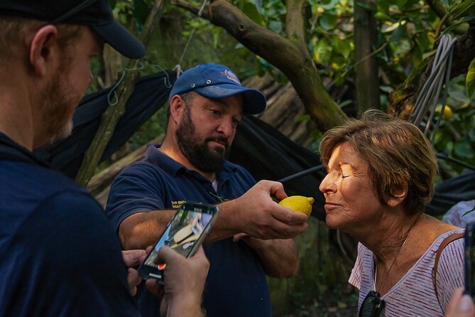 Sorrento Ape Tour, Lemon Garden, Mozzarella Show & Pizza Class - Why this Sorrento food tour feels different