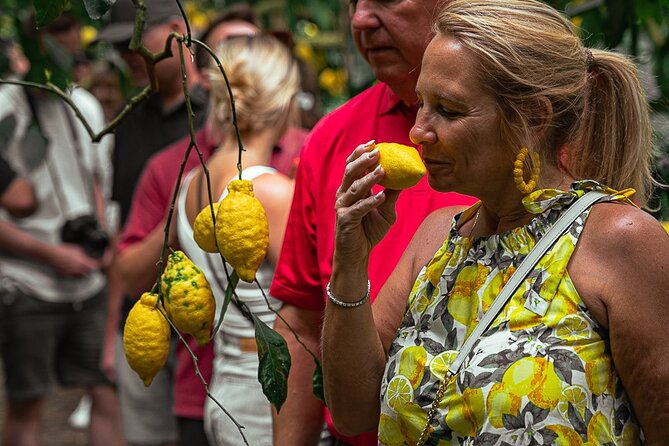 Sorrento Ape Tour, Lemon Garden, Mozzarella Show & Pizza Class - Watching mozzarella take shape at the farm