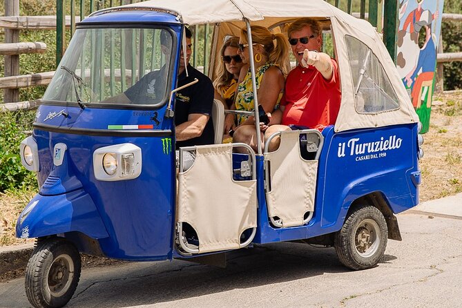 Sorrento Ape Tour, Lemon Garden, Mozzarella Show & Pizza Class - Riding a traditional Ape Calessino to Il Turuziello