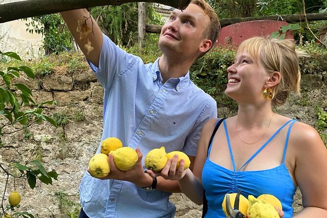 Sorrento: Authentic Lemon Experience at a Farm with Tastings - Walking through the lemon grove and picking fruit