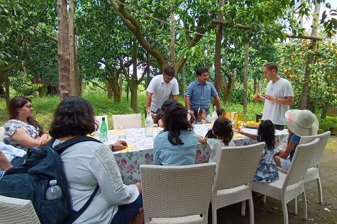 Sorrento: Authentic Lemon Experience at a Farm with Tastings - What the guide adds to the 90-minute visit
