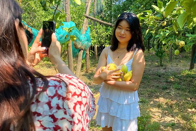 Sorrento: Authentic Lemon Experience at a Farm with Tastings - Who should book this farm experience?
