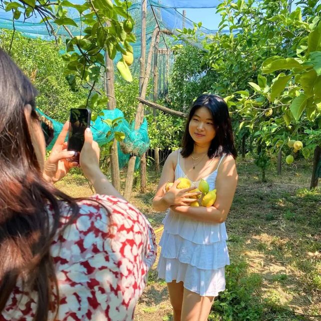 Sorrento: Authentic Lemon Experience in a Farm with Tastings - What makes this Sorrento lemon visit worth your time