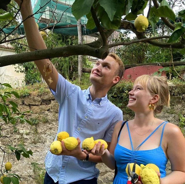 Sorrento: Authentic Lemon Experience in a Farm with Tastings - Why the lemons make a good souvenir