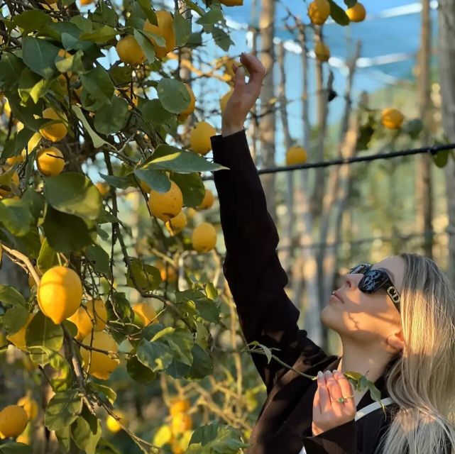 Sorrento: Authentic Lemon Experience in a Farm with Tastings - What Francesca and Sophia add to the visit