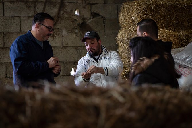 Sorrento Farm by Tuk Tuk: Cheese, Limoncello & Hands-On Pizza - Fresh cheese at the family factory